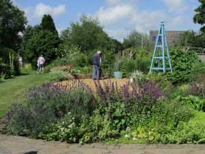 Looking across the herb boarder from the terrace.
